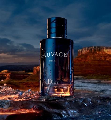 dior sauvage record sales|Dior Sauvage edp 100ml price.